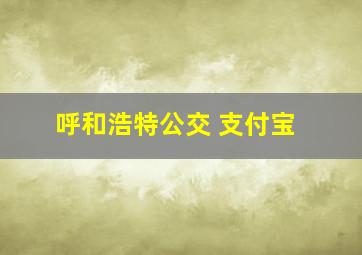 呼和浩特公交 支付宝